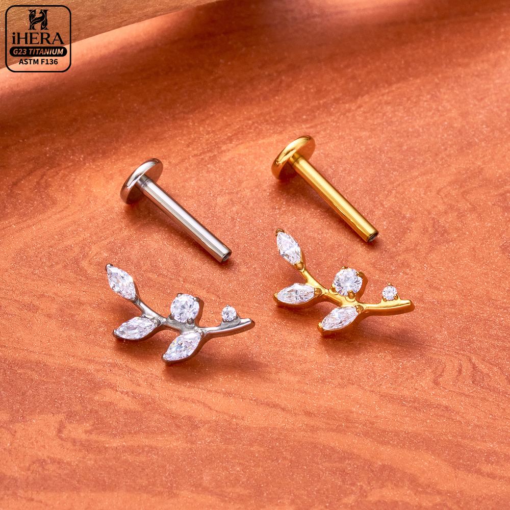 ต่างหูไทเทเนียม G23 ทรงหยดน้ำข - Rook Curved Barbell บทวิจารณ์และราคา