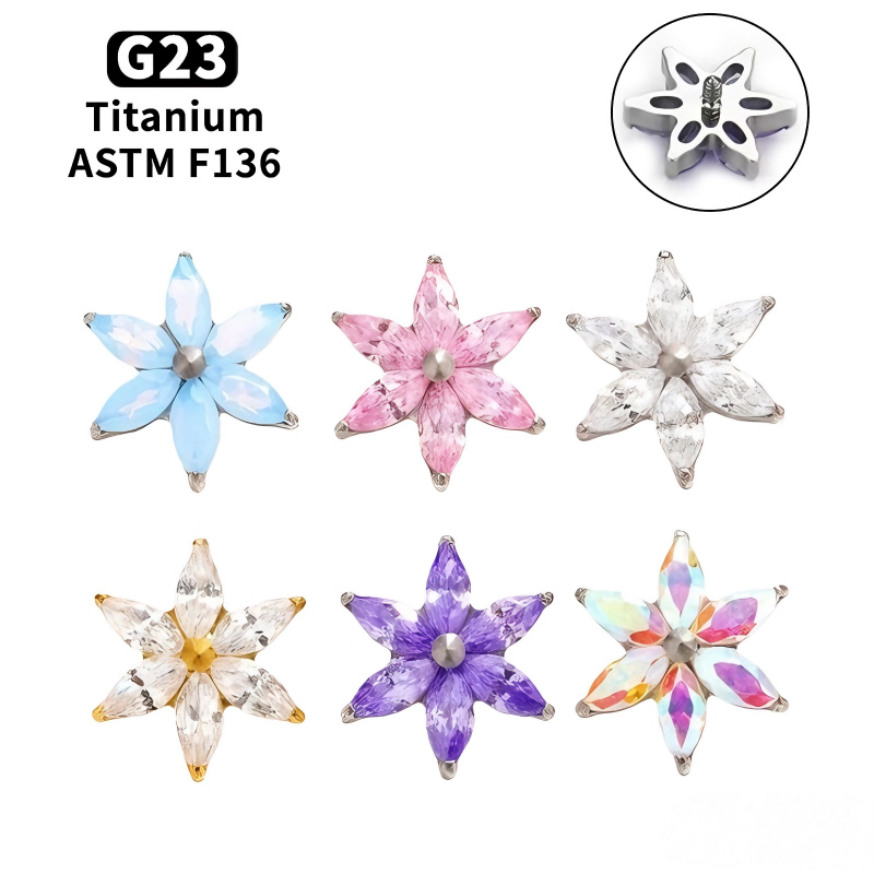 เครื่องประดับจมูก/หู/ใบหู/กระด - Zoor Body Jewelry บทวิจารณ์และราคา