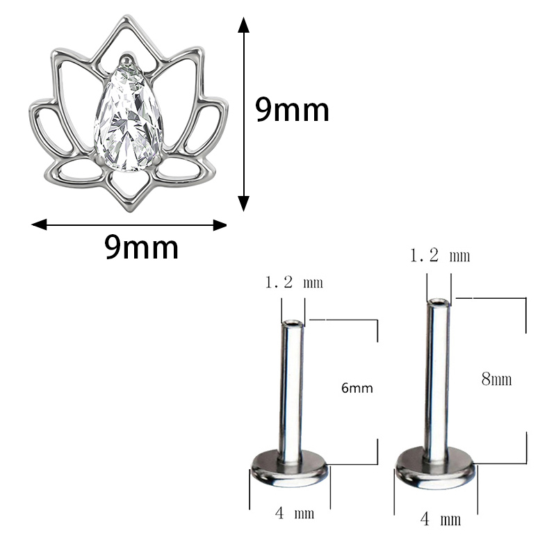 ASTM F136 ไทเทเนียมหู PIERC ผี - Body Jewelry Factory บทวิจารณ์และราคา